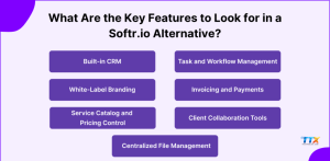 Softr io competitors-techtoolsx.com _2