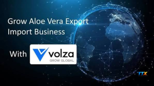 Terms used in Volza com-techtoolsx.com _1